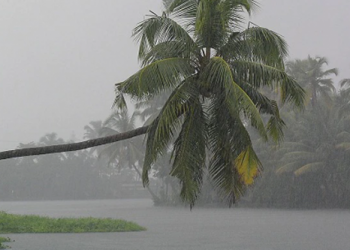 जाणून घ्या कसा असेल  यंदाचा मान्सून..?