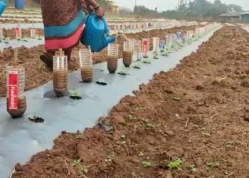 सेंद्रिय शेतीसाठी टाकाऊ प्लास्टिक बॉटल्सचा टिकाऊ उपयोग..