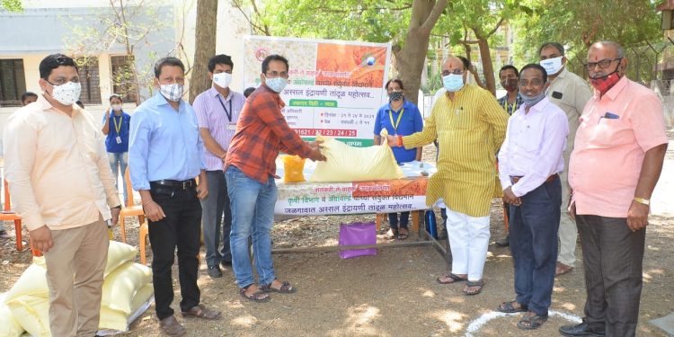 जळगावात शेतकरी ते ग्राहक उपक्रमातंर्गत तांदूळ महोत्सवाचे पालकमंत्र्यांच्या हस्ते उद्घाटन