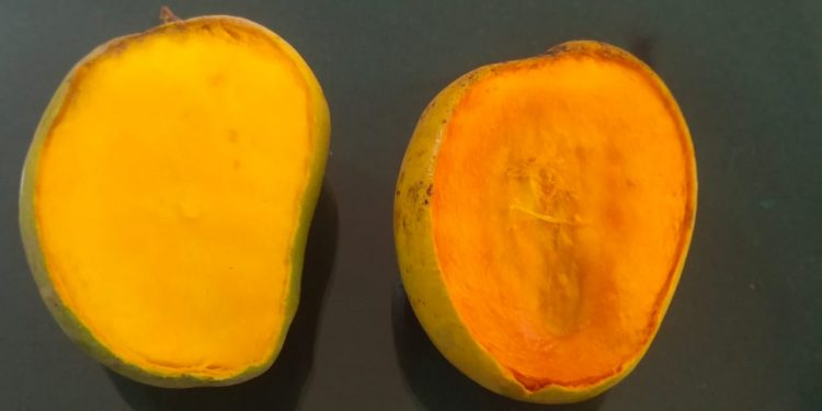 अ‍ॅग्रोवर्ल्ड कोकण हापूसच का..??   Original कोकण हापूस कसा ओळखावा..??