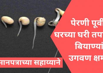 अशी करा सोयाबीन उगवण क्षमता चाचणी