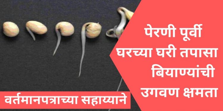 अशी करा सोयाबीन उगवण क्षमता चाचणी