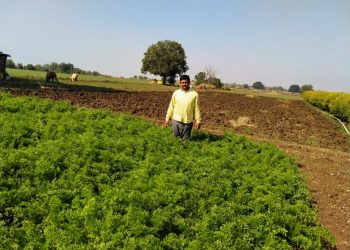 भाजीपाला लागवडीतून दोन महिन्यात लाखोंचे उत्पन्न