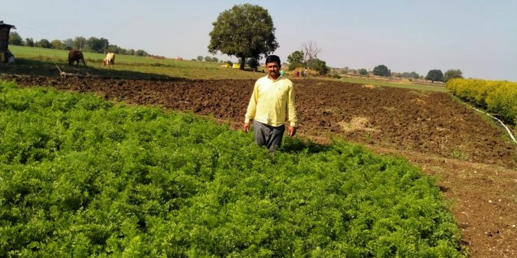 भाजीपाला लागवडीतून दोन महिन्यात लाखोंचे उत्पन्न