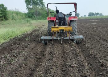 कोरडवाहू कापसाची लागवड करतांना सरी – वरंबा पद्धतीचा अवलंब करावा