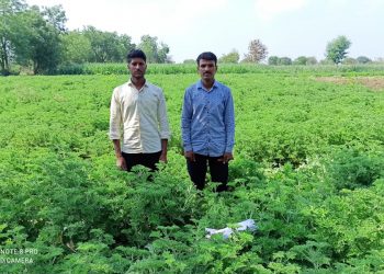 लाख मोलाची जिरेनियम शेती