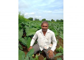 पाच गुंठ्यात महिन्याला भरघोस कमाई