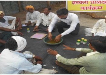 अधिक उत्पादनासाठी बीजप्रक्रिया ठरेल फायदेशीर