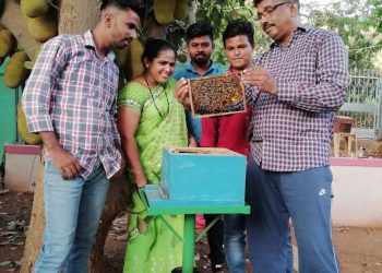 मधमाशीपालनाने आणली आर्थिक मधुरता