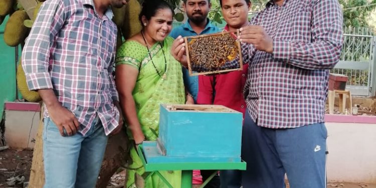 मधमाशीपालनाने आणली आर्थिक मधुरता