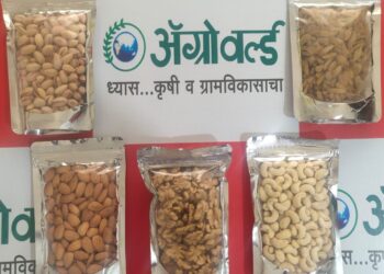 अ‍ॅग्रोवर्ल्ड… घेऊन येत आहे Dry Fruits Combo Occasions Gift Box…  1 किलो व ५०० ग्रॅममध्येही उपलब्ध