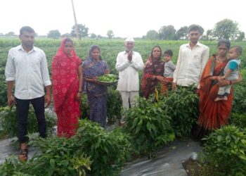 १० गुंठे क्षेत्रातून २ लाखांचा निव्वळ नफा