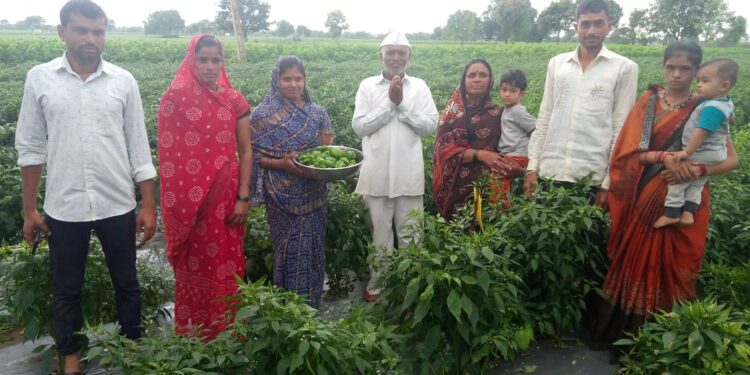 १० गुंठे क्षेत्रातून २ लाखांचा निव्वळ नफा