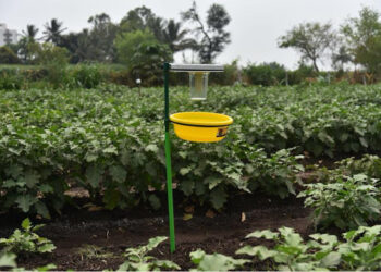 विषारी कीटकनाशक फवारणीला पर्याय !