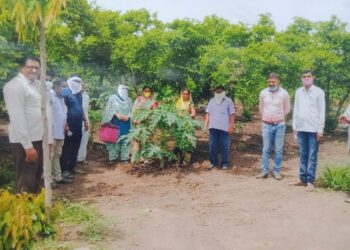 मिश्रपिक पद्धती आर्थिक समृद्धीचा पॅटर्न