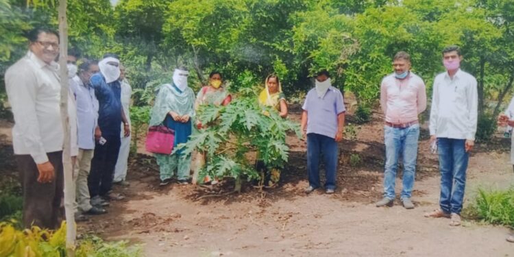 मिश्रपिक पद्धती आर्थिक समृद्धीचा पॅटर्न
