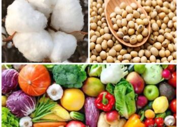 अ‍ॅग्रोवर्ल्ड – सप्टेंबर महिन्यात करावयाची शेतीविषयक कामे…