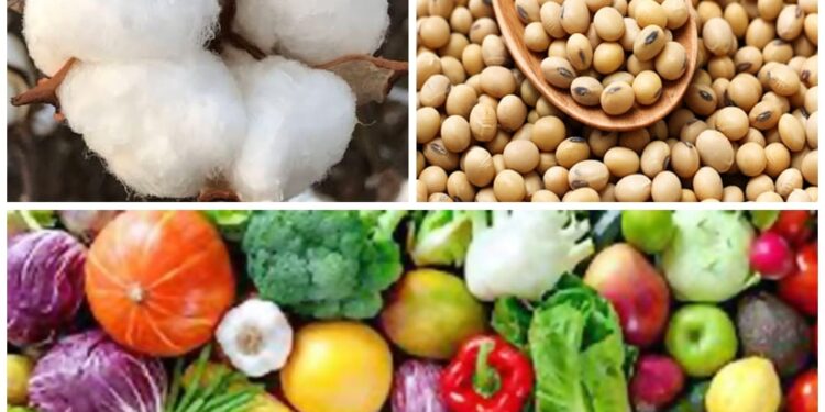 अ‍ॅग्रोवर्ल्ड – सप्टेंबर महिन्यात करावयाची शेतीविषयक कामे…