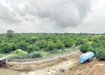 मोसंबी – एकरी अडीच लाखांपर्यंत उत्पन्न; व्यवस्थापन, उत्पादनातील रोल मॉडेल – प्रविण पाटील