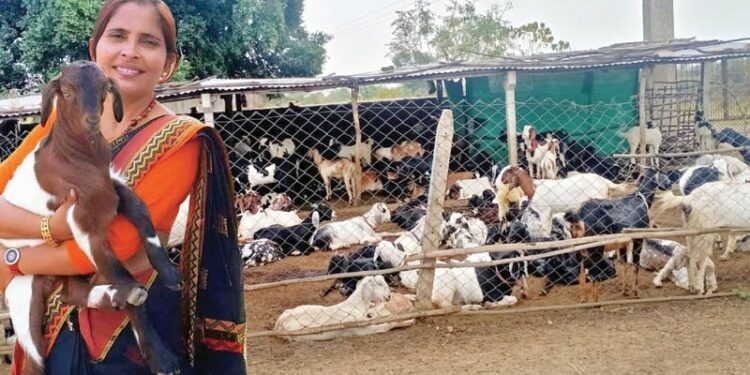 शेळीपालन हा शेतीपूरक व्यवसाय असून कमी भांडवल व कमी जागेत करता येण्यासारखा हा व्यवसाय आहे…; शिवाय शेळी ही जातच मुळी काटक असते..; पैशांची गरज भासल्यास शेळ्या विकून तो उभा करता येऊ शकतो म्हणून शेळ्यांना ATM (Any Time Money) सुद्धा म्हणतात..
