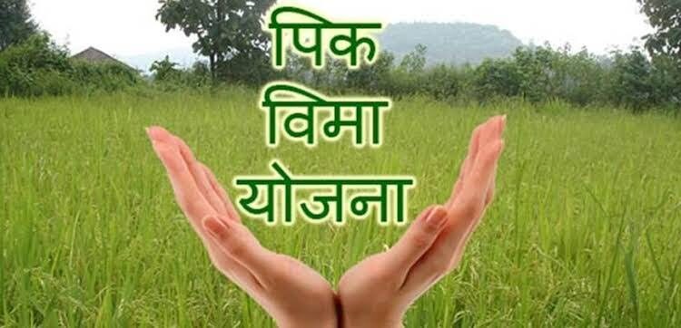 पुनर्रचित हवामान आधारित फळपिक विमा योजनेत सहभागी होण्याचे शेतकऱ्यांना आवाहन