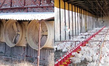 यशोगाथा.. हजारातून सुरू केलेल्या पोल्ट्री व्यवसायातील कोट्यावधीच्या उड्डाणाची..