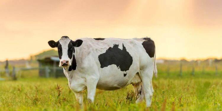 अ‍ॅग्रोवर्ल्ड व आत्मा (नाशिक) तर्फे 23 ऑक्टोबरला नाशिकमध्ये एकदिवसीय दुग्धव्यवसाय कार्यशाळा; प्रवेश मर्यादित.. 🐮