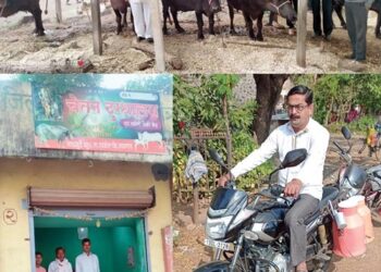 यशोगाथा – पाटील बंधूंचा दोन म्हशींपासूनचा प्रवास 425 लिटर दूध संकलनापर्यंत..; दूध व्यवसाय म्हणजे रोजचा रोख पैसा..; दुधाळ म्हैस कशी ओळखावी याबाबतही देतात सल्ले..