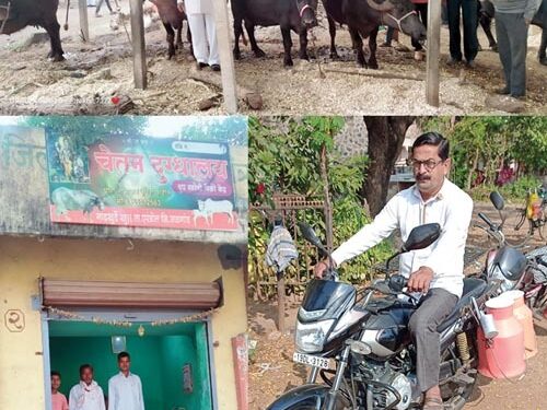 यशोगाथा – पाटील बंधूंचा दोन म्हशींपासूनचा प्रवास 425 लिटर दूध संकलनापर्यंत..; दूध व्यवसाय म्हणजे रोजचा रोख पैसा..; दुधाळ म्हैस कशी ओळखावी याबाबतही देतात सल्ले..