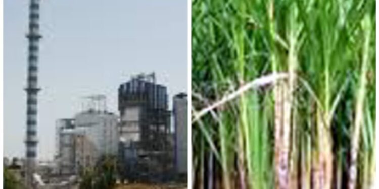 उसाचे क्षेत्र जास्त झाल्यामुळे राज्यातील 40 बंद साखर कारखाने सुरु करण्याचा राज्य शासनाचा निर्णय