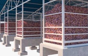 कांदा उत्पादकांसाठी आनंदवार्ता.. साठवणुकीतील कांदा आता उत्पादकांना हसवणार..! 🌱