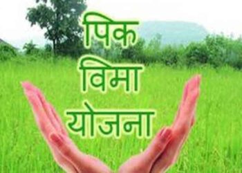 शेतकऱ्यांची दिवाळी होणार गोड…; राज्यानंतर केंद्राकडूनही नुकसान भरपाई… अशी होणार रक्कम खात्यामध्ये जमा…