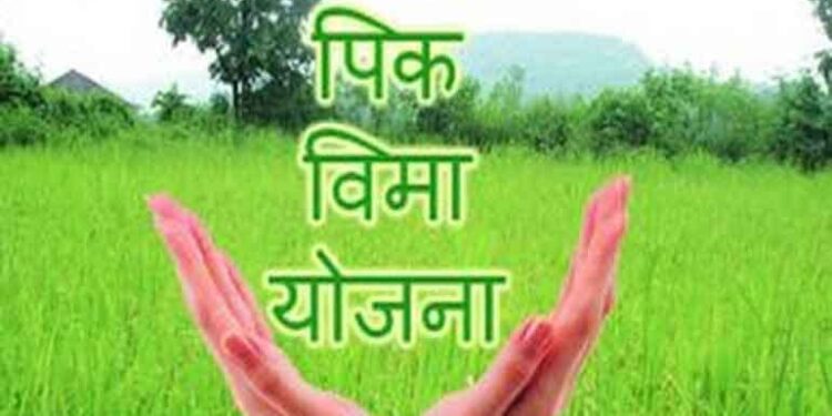 शेतकऱ्यांची दिवाळी होणार गोड…; राज्यानंतर केंद्राकडूनही नुकसान भरपाई… अशी होणार रक्कम खात्यामध्ये जमा…