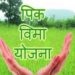 शेतकऱ्यांची दिवाळी होणार गोड…; राज्यानंतर केंद्राकडूनही नुकसान भरपाई… अशी होणार रक्कम खात्यामध्ये जमा…