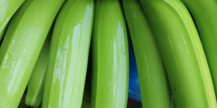 जळगावात 13 नोव्हेंबरला केळी निर्यात संधी कार्यशाळा. कार्यशाळा मोफत, परंतु आगाऊ नाव नोंदणी आवश्यक फेडरेशन ऑफ इंडियन एक्सपोर्ट ऑर्गनायझेशन्स व अ‍ॅग्रोवर्ल्ड यांचा संयुक्त उपक्रम