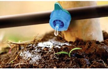 ठिबक संचाकरिता सरसकट ८० टक्क्यांपर्यंत अनुदान…; राज्य शासनाचा महत्वपूर्ण निर्णय