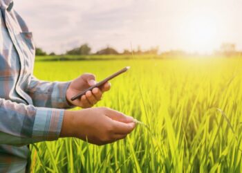 शेतकरी होणार हायटेक… मोबाईलच्या खरेदीसाठी मिळणार शासनाकडून आर्थिक सहकार्य