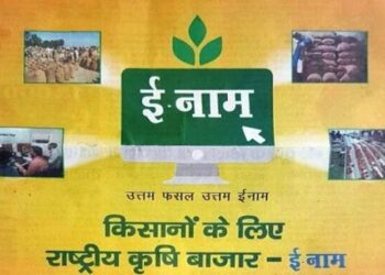 ‘ई- नाम’ योजनेत महाराष्ट्रातील तब्बल १२ लाख १० हजार शेतकऱ्यांचा सहभाग… २५७ शेती उत्पादक कंपन्याही सहभागी