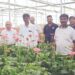 जरबेरा फुलांच्या उत्पादनातून घेतली भरारी…; नांदणी येथील अजित लठ्ठे यांची शेती ठरली आदर्श