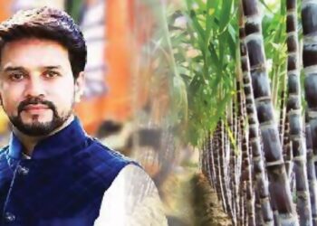 इथेनॉलच्या किमतीत वाढ… ऊस उत्पादक शेतकर्‍यांना होणार फायदा…