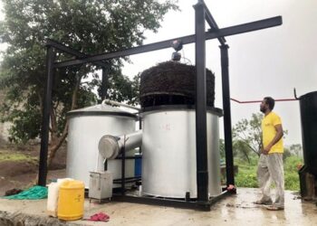 जिरेनियम लागवडीचा यशस्वी प्रयोग…  सायगावच्या तरूण शेतकर्‍याने एकाच वर्षात घेतले उत्पन्न