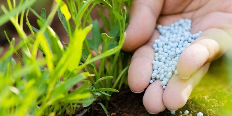 लवकरच खताच्या किमती कमी होणार.. खताच्या अनुदानात वाढ करण्याचा सरकारचा विचार…