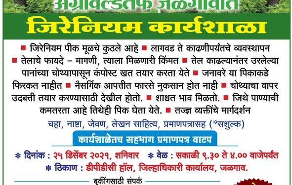 जिरेनियमच्या तेलाला इतकी मागणी व दर का मिळतो..?? जिरेनियम शेतीच्या लागवड ते काढणीपर्यंत माहितीसाठी अ‍ॅग्रोवर्ल्डतर्फे जळगावात 25 डिसेंबरला “जिरेनियम कार्यशाळा…; मर्यादित प्रवेश..
