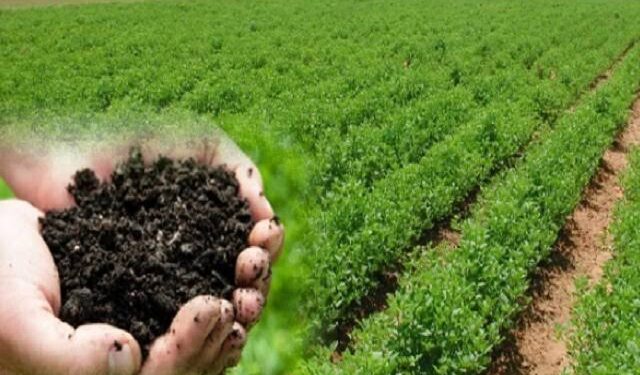 सेंद्रिय शेतीचे क्षेत्र वाढवण्यासाठी राज्य शासन प्रोत्साहन देणार… चार कृषी विद्यापीठांना अहवाल सादर करण्याची कृषीमंत्र्यांची सूचना