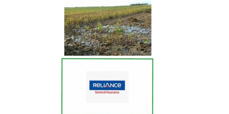 अखेर रिलायन्सकडून 10 जिल्ह्यातील 17 लाख शेतकऱ्यांना पीक विम्याचा परतावा सुरु