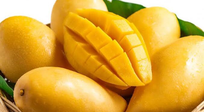 आंबा मोहोर संरक्षण या विषयावर कृषी विभागातर्फे जनजागृती कार्यक्रमाचे ४ जानेवारी २०२२ रोजी आयोजन