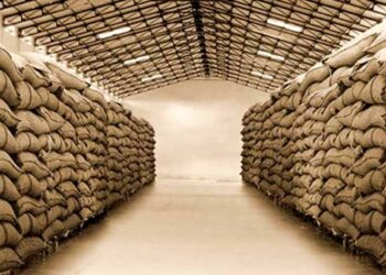 गोदाम बांधकाम योजनेसाठी आता मिळणार साडेबारा लाखांपर्यंत अनुदान… इथे करा अर्ज