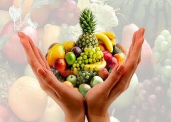 फळपिक विमा योजनेत सहभागी होण्याचे शेतकऱ्यांना आवाहन