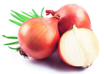 कांदा चाळ उभारणीसाठी 62.50 कोटींचा निधी मंजूर…; राज्य सरकारकडून राष्ट्रीय कृषी विकास योजनेंतर्गत मिळणार शेतकऱ्यांना लाभ