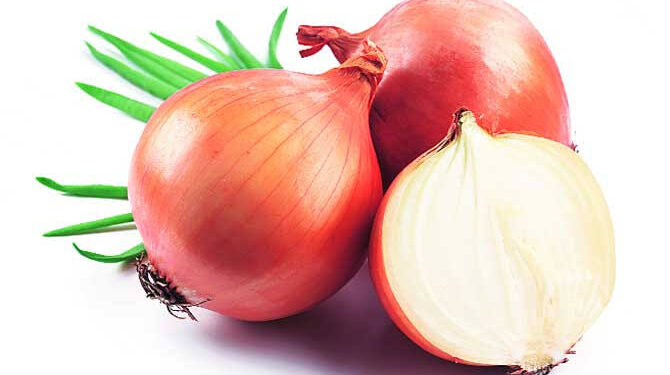 कांदा चाळ उभारणीसाठी 62.50 कोटींचा निधी मंजूर…; राज्य सरकारकडून राष्ट्रीय कृषी विकास योजनेंतर्गत मिळणार शेतकऱ्यांना लाभ